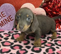 processed/aff54ca9-ff85-4c24-bed4-6bcf80eb535f/listing/a232d3b4-fe19-44ee-8ac6-40672458a3be/5327b6b9-0d37-4ec2-b1e2-f9a76d499ab1