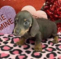 processed/aff54ca9-ff85-4c24-bed4-6bcf80eb535f/listing/a232d3b4-fe19-44ee-8ac6-40672458a3be/7f6958da-c60a-4f71-a16e-4addcf035f37