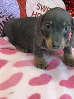 processed/aff54ca9-ff85-4c24-bed4-6bcf80eb535f/listing/a232d3b4-fe19-44ee-8ac6-40672458a3be/9def1c7a-bd89-40c5-8a85-4367eece98f6