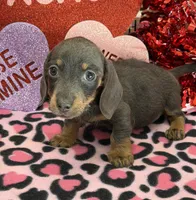 processed/aff54ca9-ff85-4c24-bed4-6bcf80eb535f/listing/a232d3b4-fe19-44ee-8ac6-40672458a3be/da8b397f-b43f-429e-a6f2-a522b869c20d