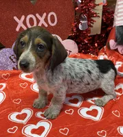 processed/aff54ca9-ff85-4c24-bed4-6bcf80eb535f/listing/a9084db6-96a6-4a9d-ad28-c4c2f2f972d3/2aaf7a83-aec5-4ac2-834c-4583d500adb0