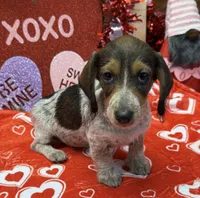 processed/aff54ca9-ff85-4c24-bed4-6bcf80eb535f/listing/a9084db6-96a6-4a9d-ad28-c4c2f2f972d3/7f32e193-89a6-4721-b7f1-0847559993bb