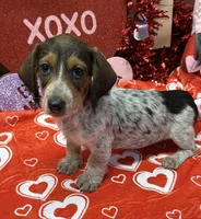 processed/aff54ca9-ff85-4c24-bed4-6bcf80eb535f/listing/a9084db6-96a6-4a9d-ad28-c4c2f2f972d3/aaec5d82-e527-45d8-b115-d1eee5b76e64