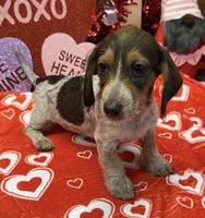 processed/aff54ca9-ff85-4c24-bed4-6bcf80eb535f/listing/a9084db6-96a6-4a9d-ad28-c4c2f2f972d3/cc272842-be53-4fc8-bef6-e6f318f0a03f