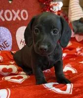 processed/aff54ca9-ff85-4c24-bed4-6bcf80eb535f/listing/b39b0caf-e1bb-4577-a3ee-5623db921b9d/9e545e60-90a9-4738-a43e-610aef2b00be