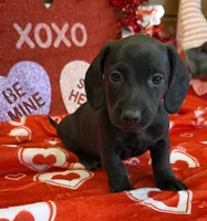 processed/aff54ca9-ff85-4c24-bed4-6bcf80eb535f/listing/b39b0caf-e1bb-4577-a3ee-5623db921b9d/b159d61f-3390-4865-840d-5988e4aa23a3