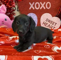 processed/aff54ca9-ff85-4c24-bed4-6bcf80eb535f/listing/b39b0caf-e1bb-4577-a3ee-5623db921b9d/cbdceef0-ad53-4a0b-820d-233aac7d8ba4