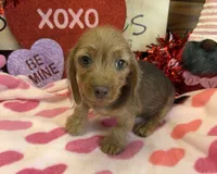 processed/aff54ca9-ff85-4c24-bed4-6bcf80eb535f/listing/c169b7f5-0fc4-4aba-892e-83ce420a4f24/c82389c1-39af-4b9e-9441-b08fe763d7fd