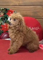 processed/aff54ca9-ff85-4c24-bed4-6bcf80eb535f/listing/c446604b-0fe7-4921-b415-4c79d41fb975/1994e963-d888-45fa-8454-a2a6411f27dc