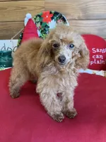 processed/aff54ca9-ff85-4c24-bed4-6bcf80eb535f/listing/c446604b-0fe7-4921-b415-4c79d41fb975/21925dfe-2f8a-478d-aef9-60bf55e56b95