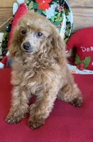 processed/aff54ca9-ff85-4c24-bed4-6bcf80eb535f/listing/c446604b-0fe7-4921-b415-4c79d41fb975/8847da80-3928-4362-a8dc-20af9a0002c2