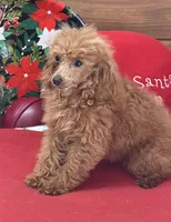 processed/aff54ca9-ff85-4c24-bed4-6bcf80eb535f/listing/c446604b-0fe7-4921-b415-4c79d41fb975/bc5b7f54-3eab-4028-8d4e-3c9656798f41