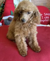 processed/aff54ca9-ff85-4c24-bed4-6bcf80eb535f/listing/c446604b-0fe7-4921-b415-4c79d41fb975/d3cad5c4-c3ba-4b7b-9987-eab1e914ecb0