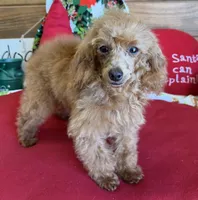 processed/aff54ca9-ff85-4c24-bed4-6bcf80eb535f/listing/c446604b-0fe7-4921-b415-4c79d41fb975/e27d271d-d916-4dcc-be6c-93976795cf51