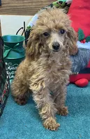 processed/aff54ca9-ff85-4c24-bed4-6bcf80eb535f/listing/c446604b-0fe7-4921-b415-4c79d41fb975/f90e81d8-6a08-4209-90f0-4ab6bdc7e3ce