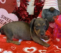 processed/aff54ca9-ff85-4c24-bed4-6bcf80eb535f/listing/d1d76f41-49bb-43a6-8472-fa08344d3b5c/0e34f35d-93c1-4f49-bf4b-abb69f004516