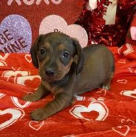 processed/aff54ca9-ff85-4c24-bed4-6bcf80eb535f/listing/d1d76f41-49bb-43a6-8472-fa08344d3b5c/6db963ac-c49d-400c-bd50-ed090bf7d104