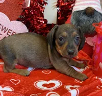 processed/aff54ca9-ff85-4c24-bed4-6bcf80eb535f/listing/d1d76f41-49bb-43a6-8472-fa08344d3b5c/fed7df8b-8ce8-477c-a8f2-12427778db5b