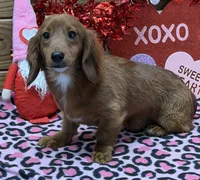 processed/aff54ca9-ff85-4c24-bed4-6bcf80eb535f/listing/d2f501b6-9812-4fe1-9997-a522ec2a72b8/93631bde-e980-46dc-ad77-52f4b2f7050d