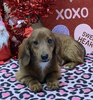 processed/aff54ca9-ff85-4c24-bed4-6bcf80eb535f/listing/d2f501b6-9812-4fe1-9997-a522ec2a72b8/d4257c46-7265-416c-ba37-5f3e39c1eb4d