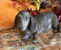 processed/aff54ca9-ff85-4c24-bed4-6bcf80eb535f/listing/d710711e-fb94-4966-a9d0-0148f25b0908/595d2371-f3c1-4f56-a38d-c088aa81ec4c