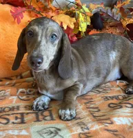 processed/aff54ca9-ff85-4c24-bed4-6bcf80eb535f/listing/d710711e-fb94-4966-a9d0-0148f25b0908/80d5b52c-ce66-418d-8823-b04b0e3f188c