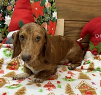 processed/aff54ca9-ff85-4c24-bed4-6bcf80eb535f/listing/d710711e-fb94-4966-a9d0-0148f25b0908/a39bee44-2035-4864-9d6f-9e4c49285899