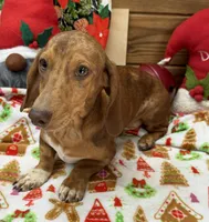 processed/aff54ca9-ff85-4c24-bed4-6bcf80eb535f/listing/d710711e-fb94-4966-a9d0-0148f25b0908/f880b0e3-6c8e-4a85-924c-079d2c5959e9