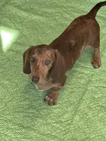 processed/aff54ca9-ff85-4c24-bed4-6bcf80eb535f/listing/d710711e-fb94-4966-a9d0-0148f25b0908/fd2c2f77-cce1-4382-93ea-689f3a2bdb1a