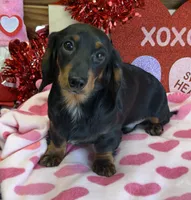 processed/aff54ca9-ff85-4c24-bed4-6bcf80eb535f/listing/d84963be-bbfd-4b8b-81af-372d1d86f056/4cf84249-c14e-4dde-93a9-d7caca145aa6