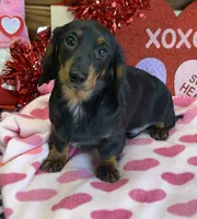 processed/aff54ca9-ff85-4c24-bed4-6bcf80eb535f/listing/d84963be-bbfd-4b8b-81af-372d1d86f056/677abed3-a837-4862-9d24-4b08cff2dca4