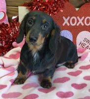 processed/aff54ca9-ff85-4c24-bed4-6bcf80eb535f/listing/d84963be-bbfd-4b8b-81af-372d1d86f056/a4b586ae-0d17-4654-8c6d-9daefd813aab