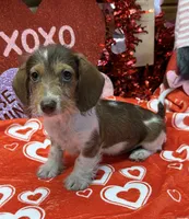 processed/aff54ca9-ff85-4c24-bed4-6bcf80eb535f/listing/ed663fac-833d-42f0-981e-284f0b8319e9/123f954c-b45b-4209-a045-ac1fe896e5e6