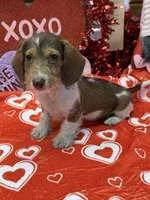 processed/aff54ca9-ff85-4c24-bed4-6bcf80eb535f/listing/ed663fac-833d-42f0-981e-284f0b8319e9/fe78b60e-1106-4807-8eaf-d46c8185df20