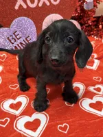 processed/aff54ca9-ff85-4c24-bed4-6bcf80eb535f/listing/f4b8d130-dcae-4115-a30f-1d9a25ac5b9b/56157ec2-9886-4b53-95fd-a39c0c692019