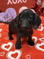 processed/aff54ca9-ff85-4c24-bed4-6bcf80eb535f/listing/f4b8d130-dcae-4115-a30f-1d9a25ac5b9b/e2f280de-98ab-4be0-b84d-27482b2a940b