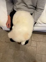 processed/affbd416-e3af-4266-8872-f6ed5861d5c0/listing/7666f61f-7e65-4640-a870-31378b45cdd1/290c0631-57b3-4279-8a56-423fb79aef70