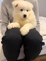 processed/affbd416-e3af-4266-8872-f6ed5861d5c0/listing/7666f61f-7e65-4640-a870-31378b45cdd1/9328776a-c59b-4052-a445-05167e5d4551