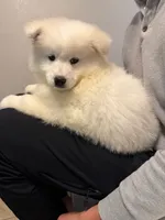 processed/affbd416-e3af-4266-8872-f6ed5861d5c0/listing/7666f61f-7e65-4640-a870-31378b45cdd1/cfc7563b-9f11-42b5-a7fd-f4625439337e