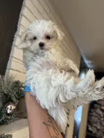 processed/affbd416-e3af-4266-8872-f6ed5861d5c0/listing/83f562f8-6835-44b9-b99c-58802032c316/461a2e4f-af1e-4fb2-a0d1-396450590ecc