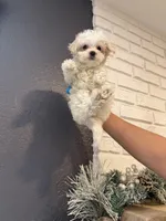 processed/affbd416-e3af-4266-8872-f6ed5861d5c0/listing/83f562f8-6835-44b9-b99c-58802032c316/833070de-f39d-4e4b-a573-db6b6f6e2524