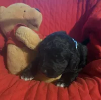 processed/affbfa08-2c51-4783-a116-c83ea646b1ae/listing/4a316732-1561-48b8-b067-fa5b1b7e553a/0a8d2e2a-a4c1-4d8b-8ce2-5d25fe1ad9ba