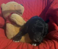 processed/affbfa08-2c51-4783-a116-c83ea646b1ae/listing/4a316732-1561-48b8-b067-fa5b1b7e553a/33a30010-ff28-4cd6-ac2d-f881783fc12d