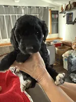 processed/affbfa08-2c51-4783-a116-c83ea646b1ae/listing/4a316732-1561-48b8-b067-fa5b1b7e553a/6d5017e5-4028-4226-8119-53383b396529