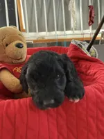 processed/affbfa08-2c51-4783-a116-c83ea646b1ae/listing/4a316732-1561-48b8-b067-fa5b1b7e553a/ad39caff-e824-40b0-95d5-1bc485138a8e