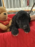 processed/affbfa08-2c51-4783-a116-c83ea646b1ae/listing/4a316732-1561-48b8-b067-fa5b1b7e553a/bfe2e377-c48f-4d75-b91c-48b1737b118b