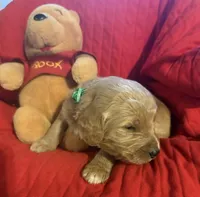 processed/affbfa08-2c51-4783-a116-c83ea646b1ae/listing/5f6e706b-6fc3-4b78-a1bb-81b0bde8ef82/13a93a26-6858-4554-a9e2-3f96011f6edb