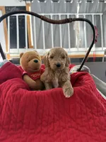 processed/affbfa08-2c51-4783-a116-c83ea646b1ae/listing/5f6e706b-6fc3-4b78-a1bb-81b0bde8ef82/70d6013c-20bc-4dcf-a5a9-ad478336f110