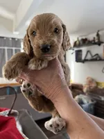 processed/affbfa08-2c51-4783-a116-c83ea646b1ae/listing/5f6e706b-6fc3-4b78-a1bb-81b0bde8ef82/b16f4150-c2b3-4ce8-9d82-d03c441d26d6