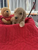 processed/affbfa08-2c51-4783-a116-c83ea646b1ae/listing/5f6e706b-6fc3-4b78-a1bb-81b0bde8ef82/bd5a7620-c18e-4d64-9c4d-4fdafadd2ede